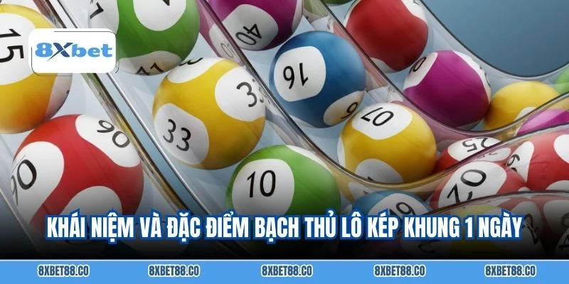Khái niệm và đặc điểm bạch thủ lô kép khung 1 ngày