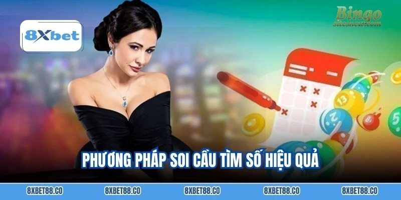 Phương pháp soi cầu tìm số hiệu quả