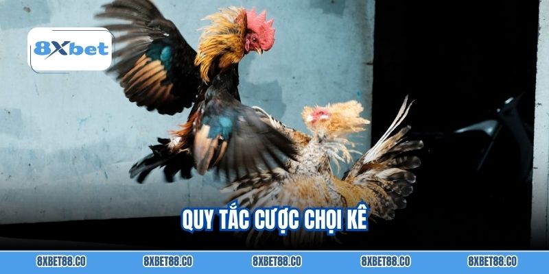 Quy tắc cược chọi kê